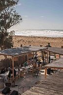 La Mouette et les Dromadaires