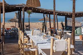 La Mouette et les Dromadaires