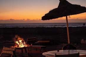 La Mouette et les Dromadaires