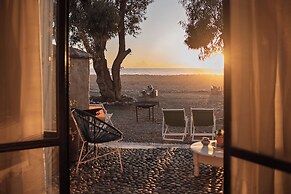 La Mouette et les Dromadaires