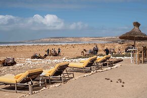 La Mouette et les Dromadaires