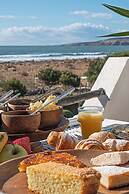 La Mouette et les Dromadaires