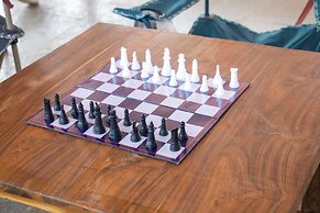 The Tiger Claws Tadoba