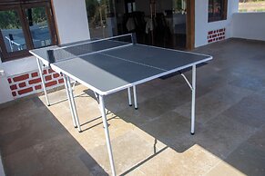 The Tiger Claws Tadoba