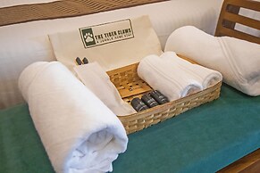 The Tiger Claws Tadoba