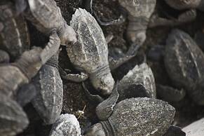 ZUMO URBAN HOSTEL DAVID