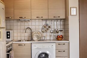 153 NIC - Stay Sunflower Delight Studio