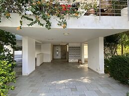 153 NIC - Stay Sunflower Delight Studio