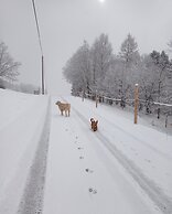 Rossweid Appartement