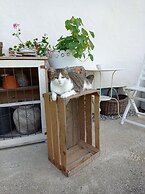 Rossweid Appartement