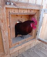 Rossweid Appartement