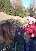 Rossweid Appartement