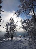 Rossweid Appartement
