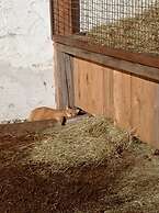 Rossweid Appartement