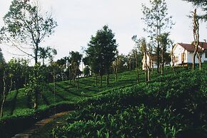 Tea Terrace Vythiri Resort