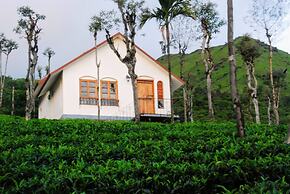 Tea Terrace Vythiri Resort