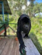 Howler Jungle House