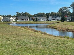 Liverpool Lane 37428