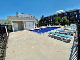 Striper Harbor 29807