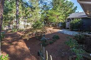 Cedar Road 22