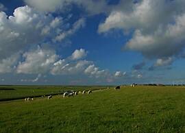 Cozy Chalet in Tzummarum
