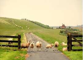 Lovely Chalet With Spacious Garden