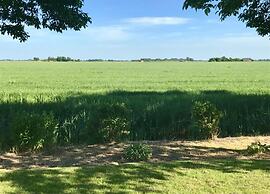 Lovely Chalet With Spacious Garden