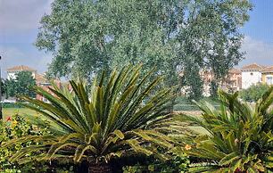 Luxury Villa With Stunning Views in Torre-pacheco