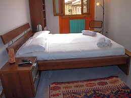 WINE HOUSE- SALUTATI 78