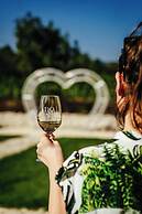 Dominium Pincészet és Panzió