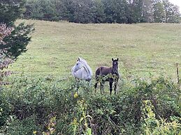 Pet & Family Friendly-2BD-1BA-Sleeps 6-8-Pond-Deck