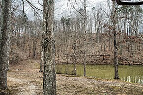 Pet & Family Friendly-2BD-1BA-Sleeps 6-8-Pond-Deck