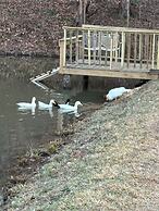 Pet & Family Friendly-2BD-1BA-Sleeps 6-8-Pond-Deck
