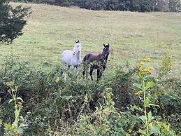 Pet & Family Friendly-2BD-1BA-Sleeps 6-8-Pond-Deck