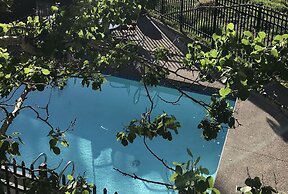 Telluride Ski Resort CO - Vacation Rentals