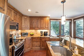 Viking Lodge Condos - Telluride Ski Resort