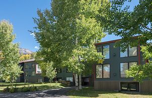 Viking Lodge Condos - Telluride Ski Resort