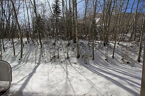 Snow Flower Condos - Park City Ski Resort UT