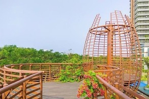 Gold Coast Apartment