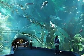 SOL- Vinhomes Times City & Park Hill