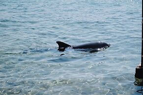 Royal Park Apt Resort by Sea N Rent