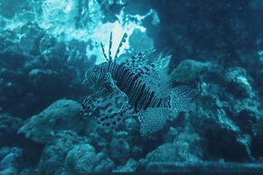 Royal Park Apt Resort by Sea N Rent