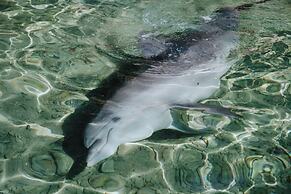 Royal Park Apt Resort by Sea N Rent