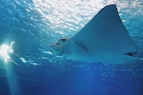 Royal Park Apt Resort by Sea N Rent