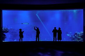 Royal Park Apt Resort by Sea N Rent