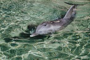 Royal Park Apt Resort by Sea N Rent