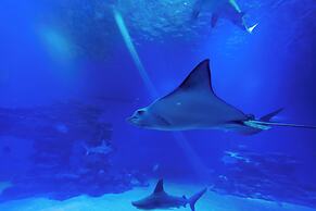 Royal Park Apt Resort by Sea N Rent