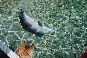 Royal Park Apt Resort by Sea N Rent