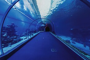 Royal Park Apt Resort by Sea N Rent