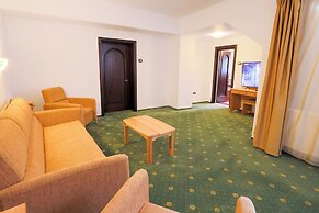 Hotel Casa Viorel